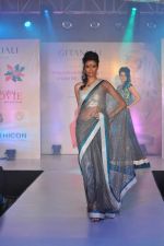 Model walks for Manali Jagtap Show at Global Magazine- Sultan Ahmed tribute fashion show on 15th Aug 2012 (237).JPG